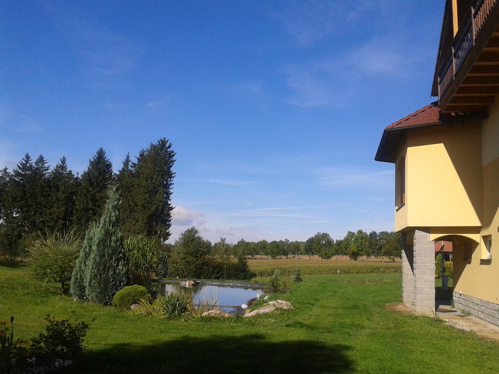 Penzion Stary Dvur Nove Dvory  Exterior photo